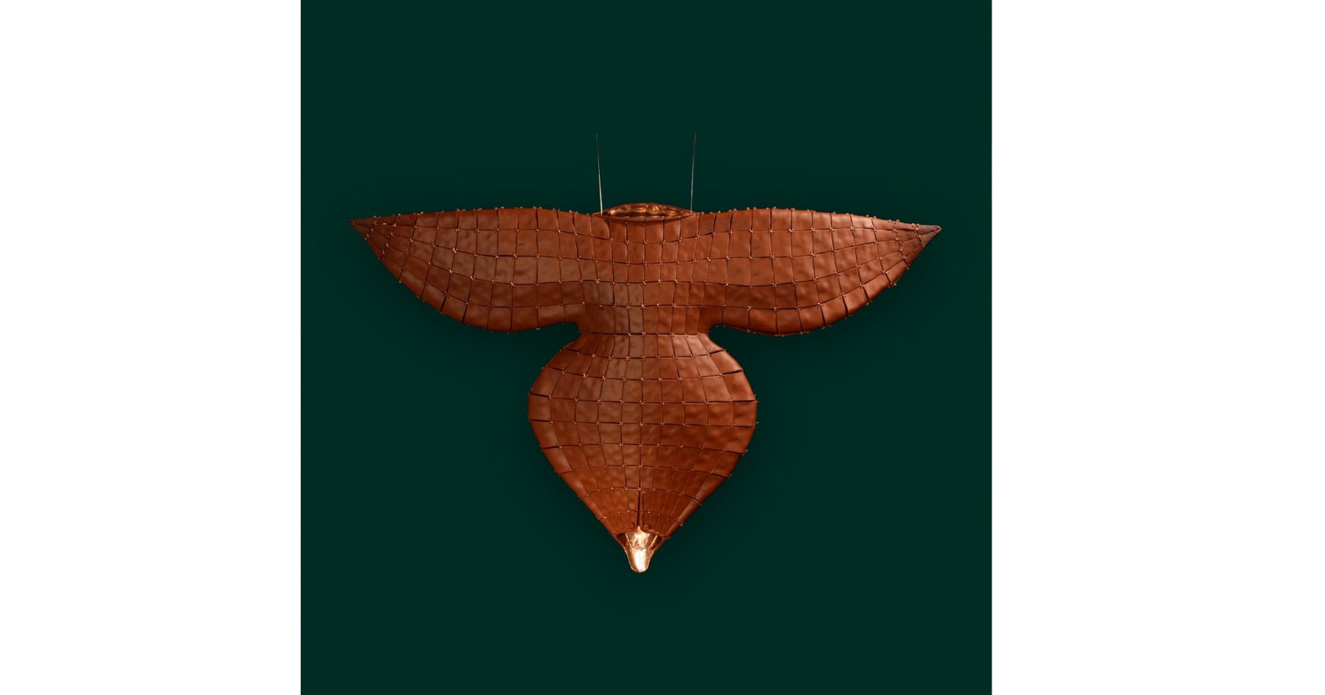 Metamorphosis