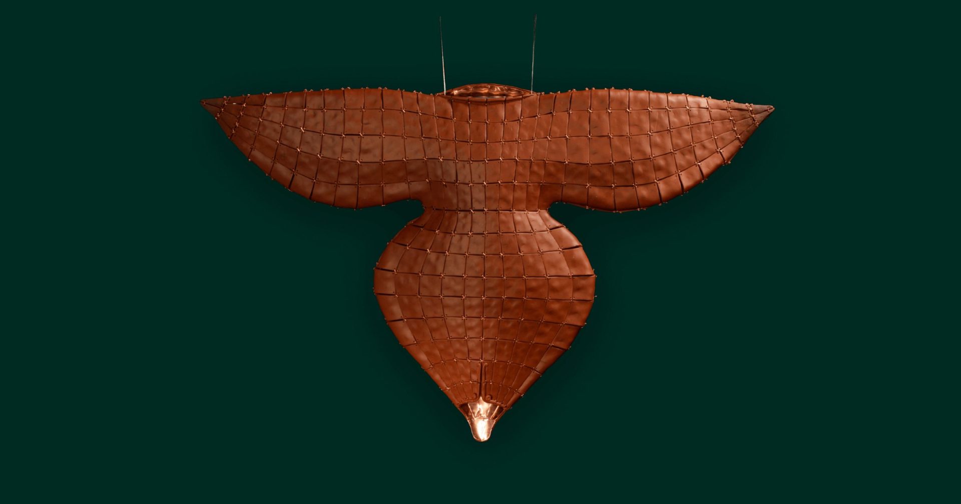 Metamorphosis